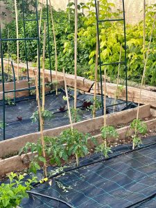 Maxima Crespo de las Heras Agroturismo Sostenible 28